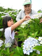 地元住民に教えてもらいながら、カタツムリを探す児童＝１２日、鳥取市美萩野３丁目のあじさい公園