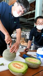 タカミメロンを切り分け、品質を確認する関係者＝１１日、倉吉市越殿町のＪＡ鳥取中央倉吉メロン共同選果場