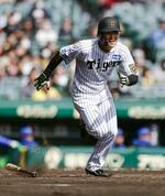 　ＤｅＮＡ戦で２安打を放った阪神・高寺＝甲子園