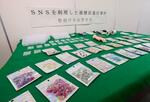 　押収された高級ブランドの偽ネイルパーツ＝１日午前、警視庁月島署