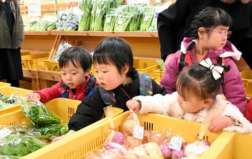 商品の中からお目当ての野菜を見つけて買い物をする園児ら