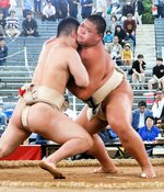 高校相撲金沢大会の個人戦で優勝した鳥取城北の井上泰我＝石川県卯辰山相撲場