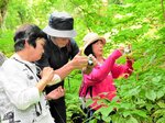 変わった植物を発見し、猪坂さん（中央）に教わりながら撮影する生徒＝１８日、香美町村岡区和池のたじま高原植物園