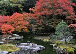 １２年ぶりに一般公開される「啐啄園」＝２４日、鳥取市上町
