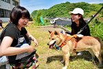 山陰柴犬について会話を弾ませる来場者ら＝４日、湯梨浜町宇野の宇野地区公民館
