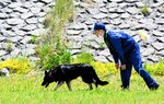 足跡追及訓練に挑む直轄警察犬と指導手＝２４日、日吉津村富吉の日野川河川敷