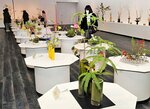会場に並べられた生け花を鑑賞する来場者＝１４日、鳥取市尚徳町のとりぎん文化会館