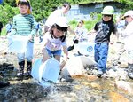 「大きくなってね」と声をかけながら稚アユを放流する園児ら＝１４日、智頭町篠坂の千代川