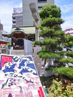 境内に植えられた「蓮如松」