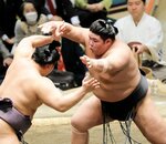 １１日目に翔猿（左）と攻め合う伯桜鵬。すくい投げで破り自信を深めた＝両国国技館