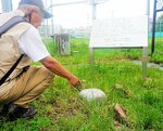 遷喬小グラウンド脇にある一等水準点。鳥取大火が発生した昭和２７年に設置され、復興の基礎になったと推測される