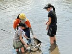 コイのすくいとりを楽しむ子どもら