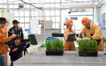 カラマツの樹高検査の様子を撮影するカメラマンら（左）＝２４日、日南町阿毘縁の樹木育苗センター