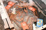 【次々と落札】仲買人に次々と落札されたズワイガニ（鳥取県漁協賀露支所）