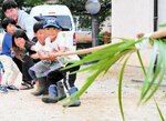ショウブの葉が飾られた綱を一生懸命引く園児ら