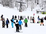 スキー客でにぎわうゲレンデ＝１月２６日、香美町村岡区大笹のハチ北スキー場