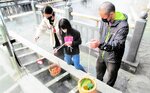 湯村温泉の荒湯で行われる「湯がき」。卵や野菜などを湯つぼに入れて調理する＝新温泉町湯（町提供）