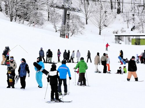 スキー客でにぎわうゲレンデ＝１月２６日、香美町村岡区大笹のハチ北スキー場