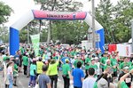 沿道の声援を受けて一斉にスタートするランナーたち＝１６日、北栄町由良宿のお台場公園