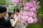 　「さっぽろライラックまつり」が始まり、見ごろを迎えた花を楽しむ親子＝１４日午前、札幌市中央区