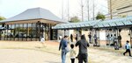 鳥取県立美術館に隣接する倉吉パークスクエア内に完成した「集いの森」＝２９日、倉吉市駄経寺町２丁目