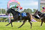 　第７６回阪神ジュベナイルフィリーズを制したアルマヴェローチェ＝京都競馬場