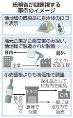 　総務省が問題視する事例のイメージ