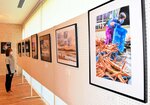但馬地域で撮影した風景写真などが並んだ会場＝香美町村岡区和池の木の殿堂