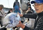 　福島県いわき市の小名浜港で、今シーズン初めて水揚げされたカツオ＝２５日午前