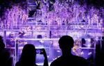 　アートアクアリウム美術館ＧＩＮＺＡで開催中の「藤と紫陽花　初夏きんぎょ２０２５」＝３１日午後、東京・銀座
