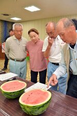 スイカの出来栄えを確認する生産者ら＝２７日、湯梨浜町園のＪＡ鳥取中央泊相談プラザ