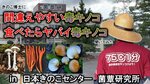 日本きのこセンターき菌蕈研究所による毒キノコに関する注意を促すユーチューブの一場面