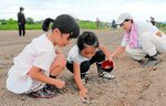 畑に大豆の種をまく親子