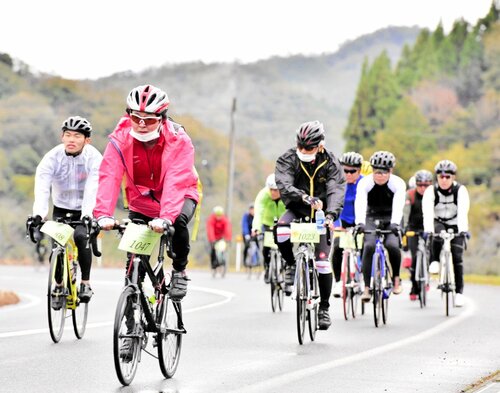 晩秋の山あいの道を走り抜ける参加者たち＝１２日、南部町中
