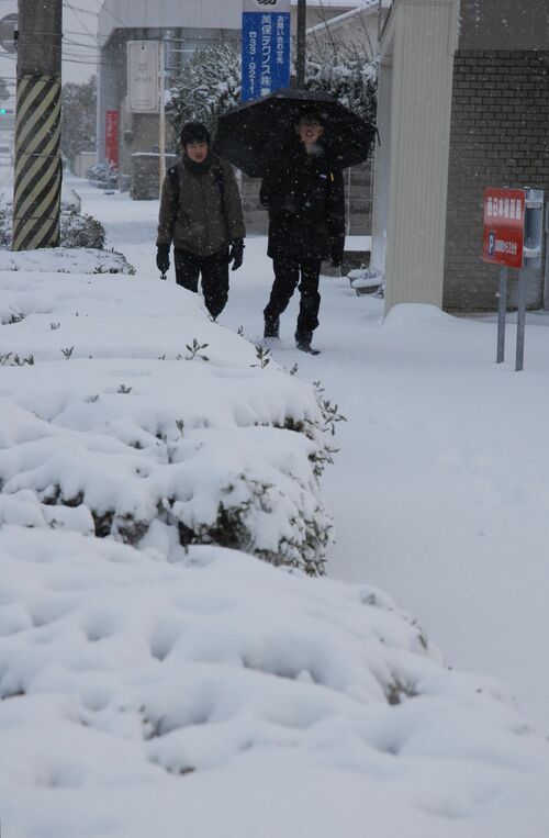 雪が積もった歩道を歩く人たち＝24日午前７時51分、境港市上道町