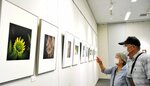 会員の個性が光る作品が並ぶ会場