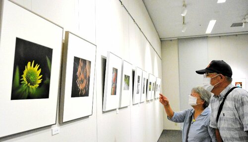 会員の個性が光る作品が並ぶ会場