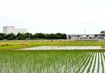 将来的な市街化を見込み、マスタープランの土地利用区分が修正されるアルテピア南側の田園地帯＝１日、安来市切川町