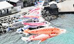 潮風を受けて、悠々と泳ぐこいのぼり＝２日、香美町香住区の鎧漁港