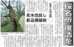 「桜の名所」再生への取り組みを報じる日本海新聞（２０１０年２月14日）