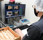 導入したシステムで「ねんどろいど」の面相を検査する従業員＝１３日、倉吉市秋喜のグッドスマイルカンパニー楽月工場