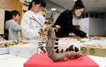 多彩な自然物パーツを組み合わせて干支にちなんだ竜を創作する参加者＝６日、若桜町※米の氷ノ山自然ふれあい館響の森