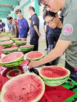持ち込まれたスイカの糖度を調べる関係者＝３０日、倉吉市下福田のＪＡ鳥取中央倉吉西瓜選果場