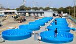 　ＪＲ四国が新設したサーモンの陸上養殖場＝２月、愛媛県西条市