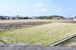 ＪＲ浜村駅南東の新小学校建設候補地＝２４日、鳥取市気高町浜村