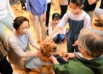 盲導犬との触れ合いを楽しむ参加者