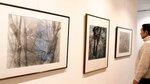 大山の自然を詩的に切り取ったモノクロ作品が並ぶ会場