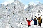 青空と樹氷に囲まれ笑顔で万歳する参加者