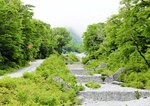 登山道が整備されていない三ノ沢＝大山町大山
