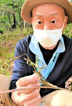 敷地内に大量に咲いたササの花＝１７日、鳥取市桂見のとっとり出合いの森